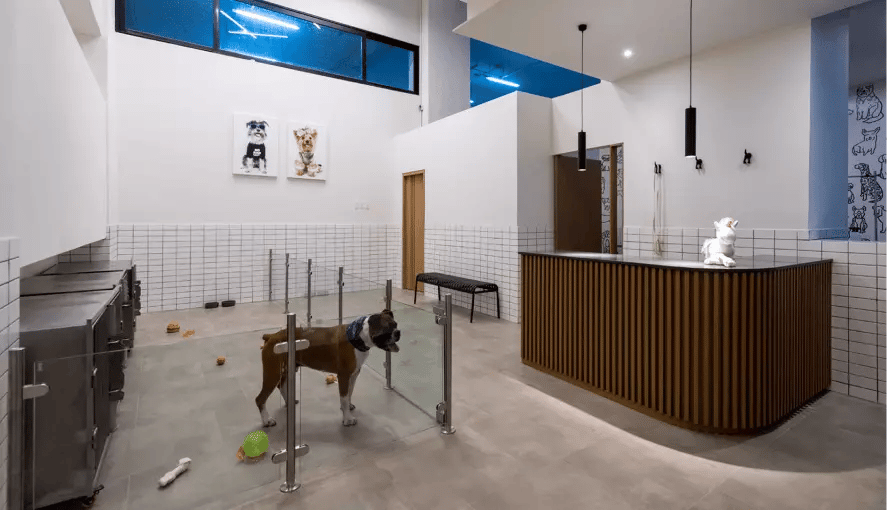 petzone-uplace01